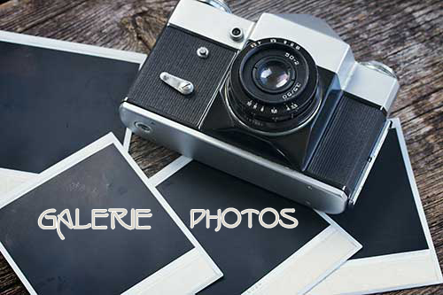 solo family rencontres